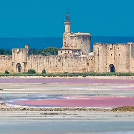 Studio En Petite Camargue Le Cailar Dış mekan fotoğraf