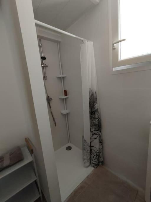 Studio En Petite Camargue Le Cailar Dış mekan fotoğraf