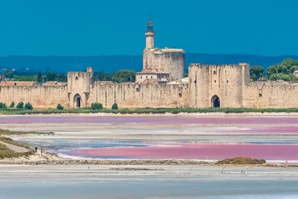 Studio En Petite Camargue Le Cailar Dış mekan fotoğraf